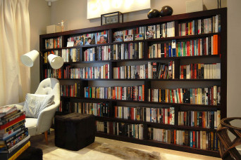 Lounge bookshelves